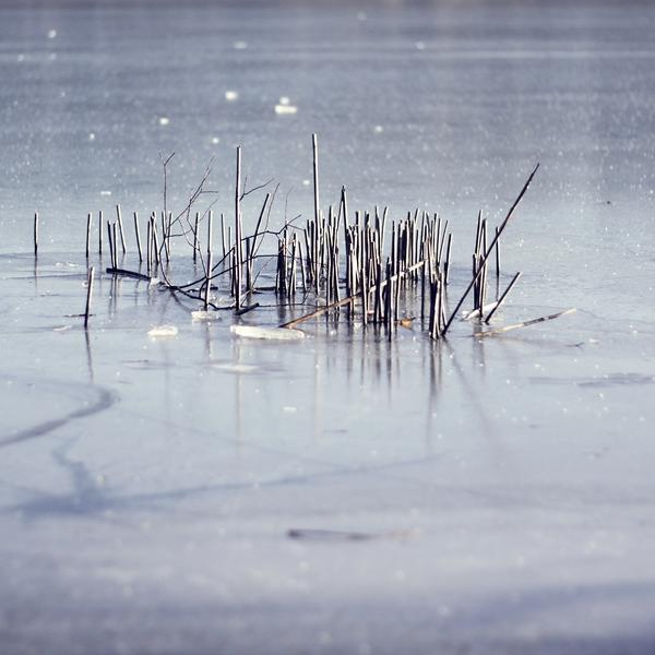 Frozen by Andrea Black