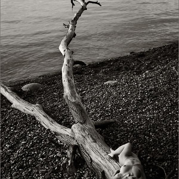 Strandgut by Steffen Drache