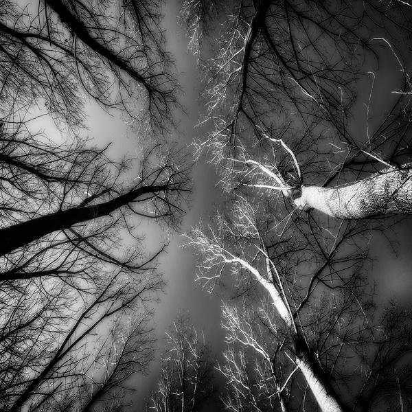 Between Light And Shadow by Gavino Idili