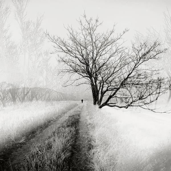 Green Shower I by Fusyou Zen