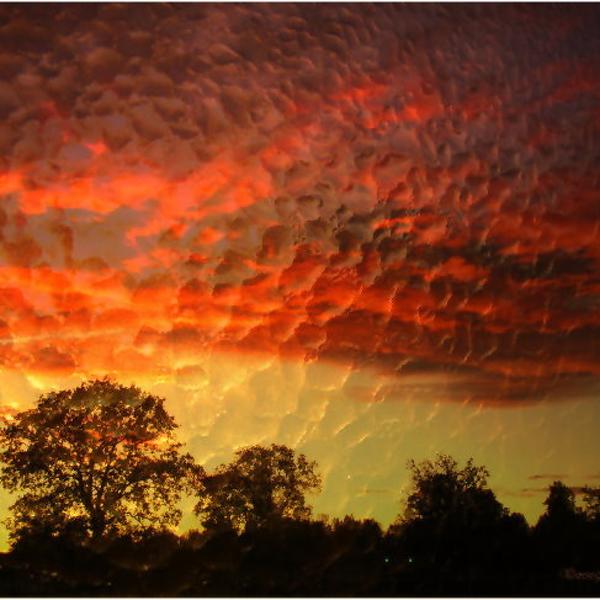 Embossed Sunrise by Joyce Dickens