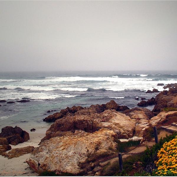 Asilomar Beach, Pacific Grove, Ca by Joyce Dickens