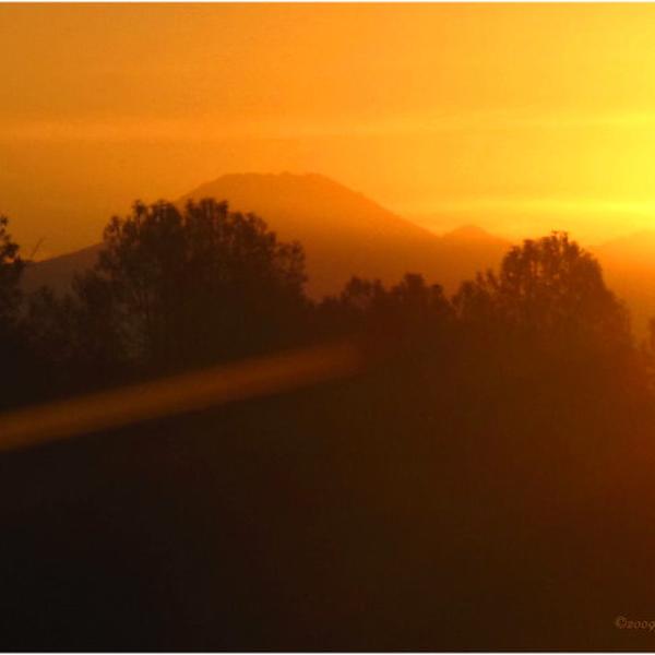 Morning's Early Light by Joyce Dickens