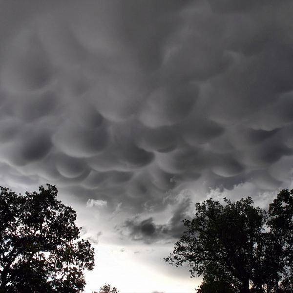Clouds 06 04 12 A by Joyce Dickens