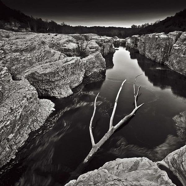 Tronc flottant sur la C&egrave;ze by Bruno Aguila
