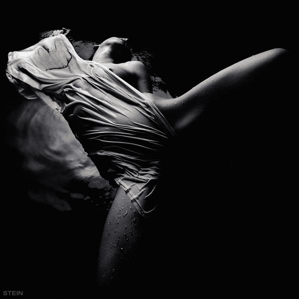 Untitled by Vadim Stein