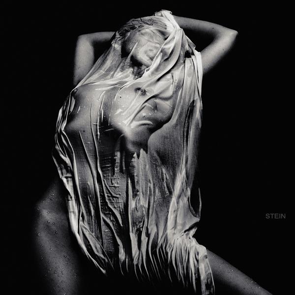 Untitled by Vadim Stein