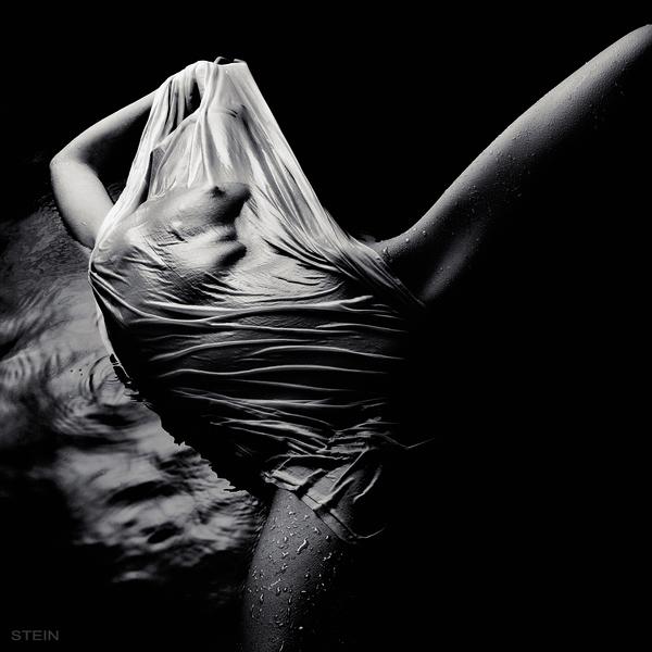 Untitled by Vadim Stein