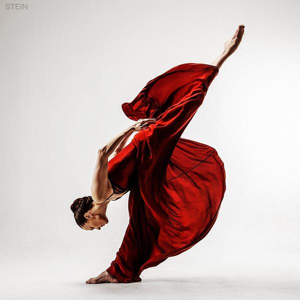 Untitled by Vadim Stein