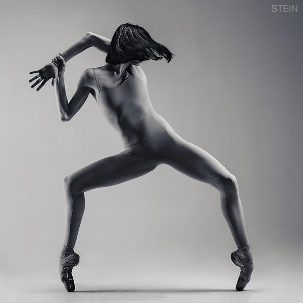 Untitled by Vadim Stein