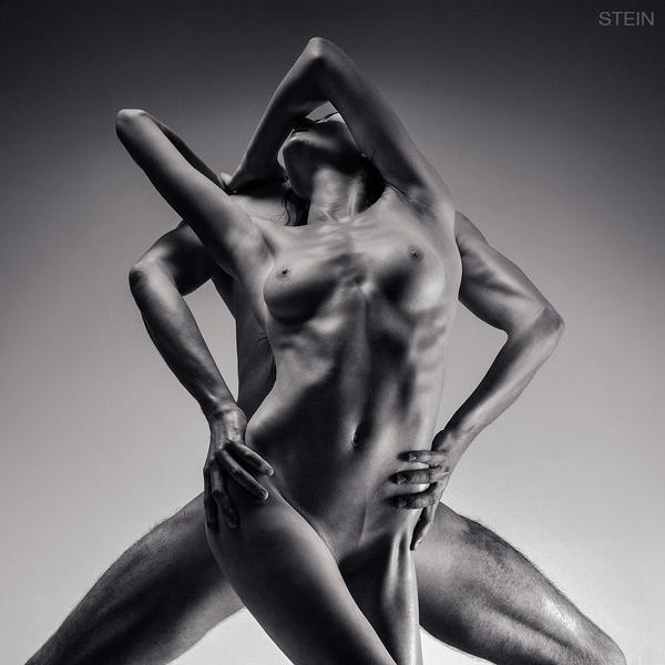 Untitled by Vadim Stein