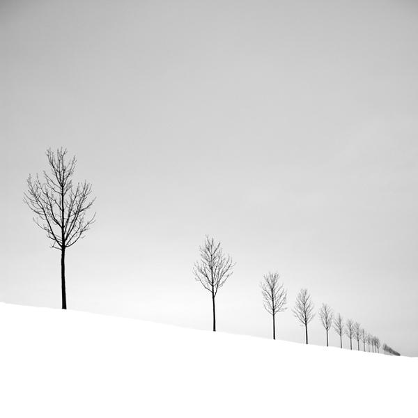 La Louvière, Belgique. 2013 by Didier Demaret