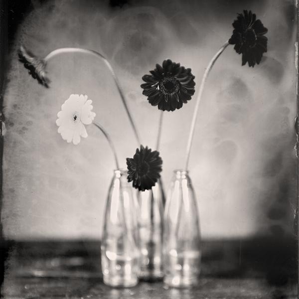 Bouquet#10 by Jean-baptiste Senegas