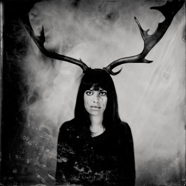 The Deer par Jean-baptiste Senegas