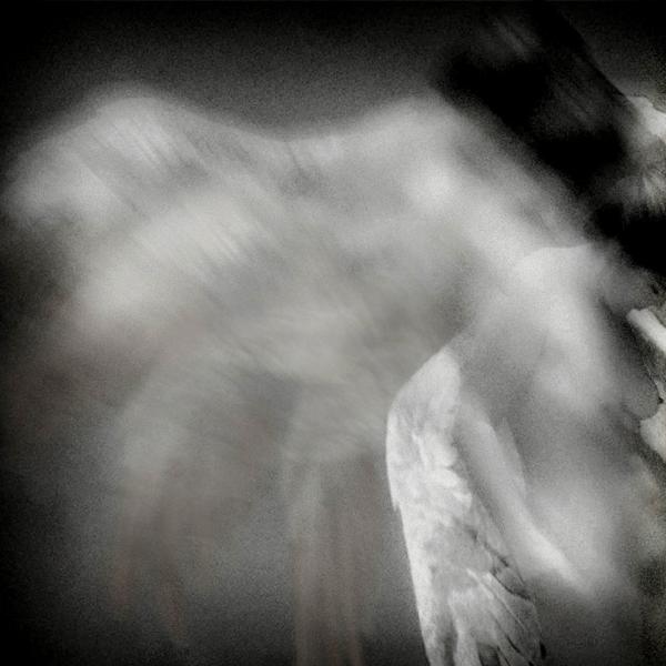 Have You Seen The Drop Zone...? by Philippe Gentet