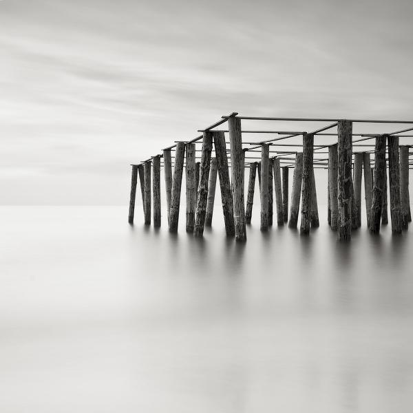 Revival by Emil Stojek
