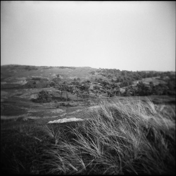Dunes De Biville by Sabrina Lesert