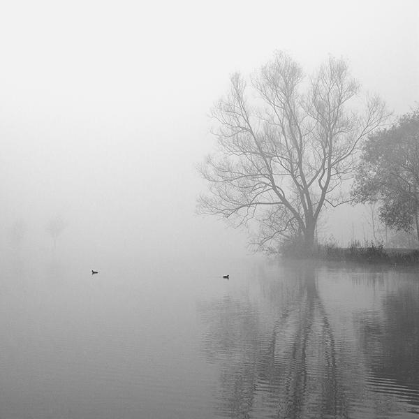 L'etang by Eddie Duquenne