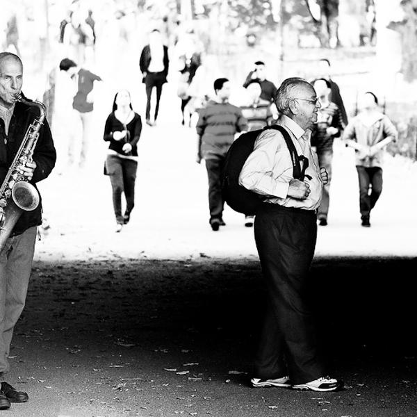 The Player by Sherwin James