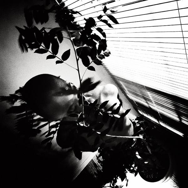 Rooted by Sherwin James