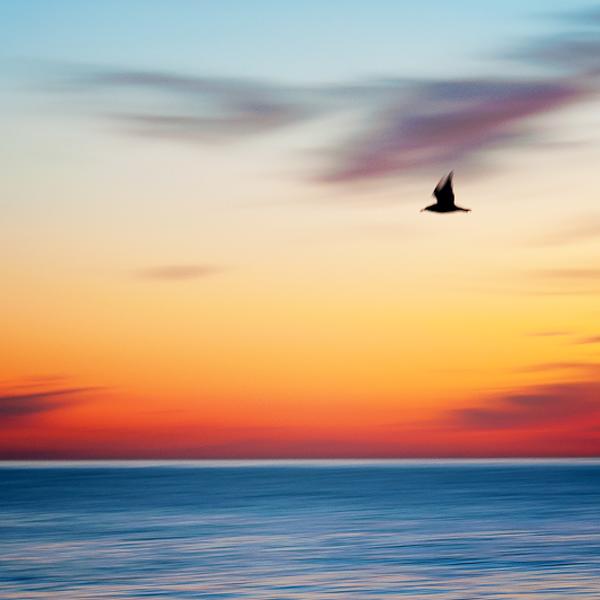 Beach 1 by Sherwin James