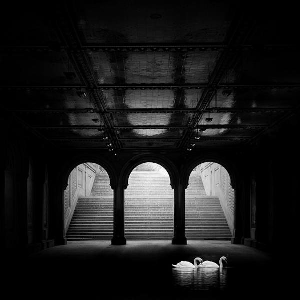 Only For Us by Sherwin James