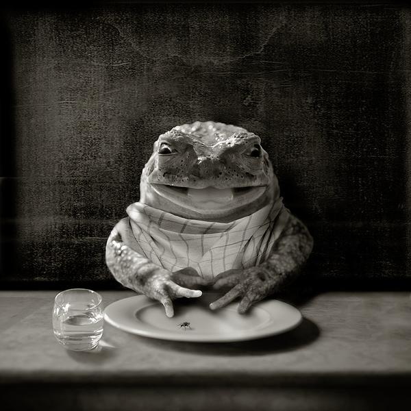 Mr Callaghan by Audrey Baschet