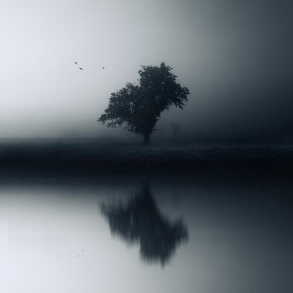 Reflexion by Eric Frey