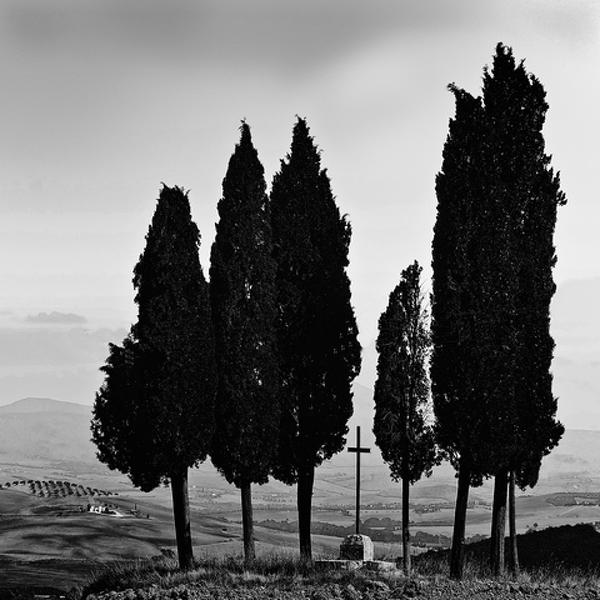 Peacefull Place In Tuscany by Claude Periez