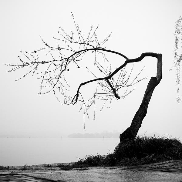 West Lake #10, Hangzhou, China 2013 by Martin Frolich