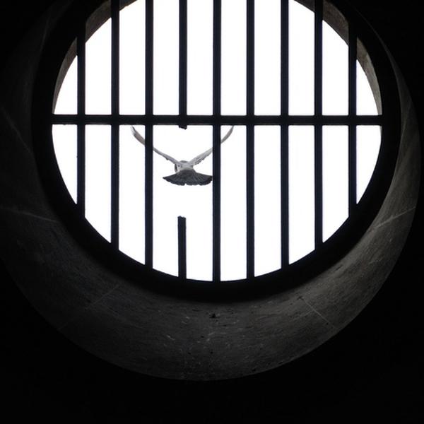 Freedom by Nad&egrave;ge Turco