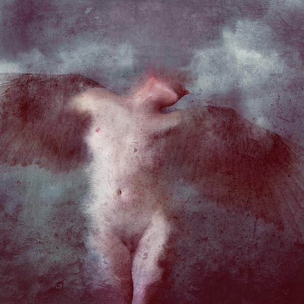 Untitled by Branimir Jaredic