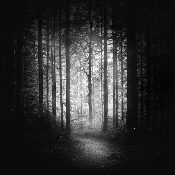 Untitled by Branimir Jaredic