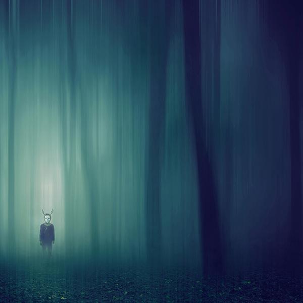 Untitled by Branimir Jaredic