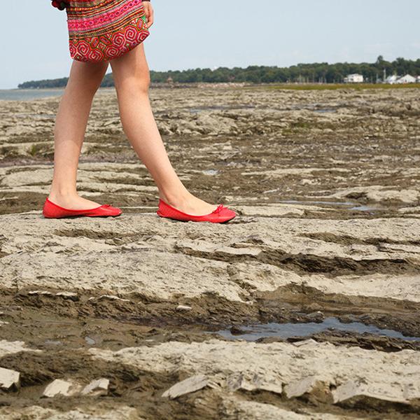 Les Souliers Rouges by Michel Elie