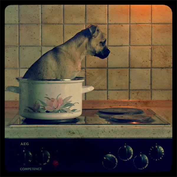 ( Hot Dog ) by M. Thiel
