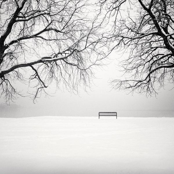 Nothing Is Everything by Uwe Langmann