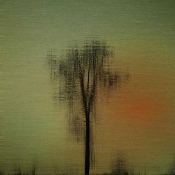 Reflections by Giorgio Bisetti