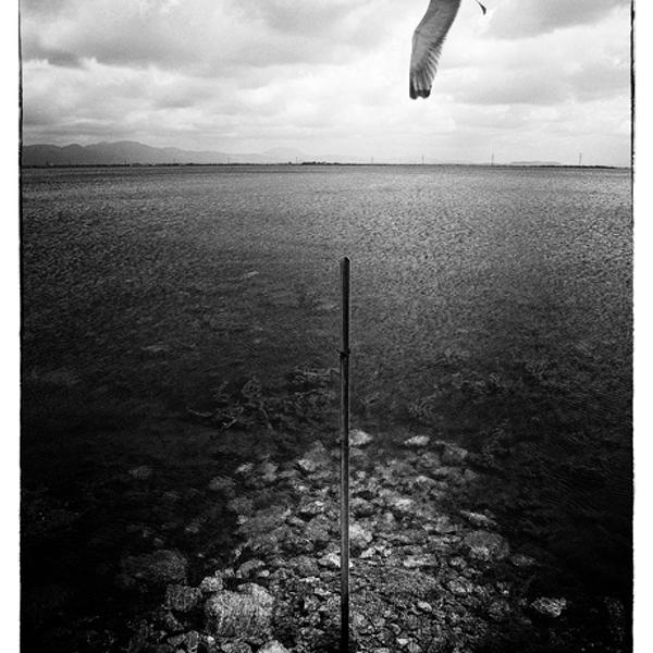 Dream by Giorgio Bisetti