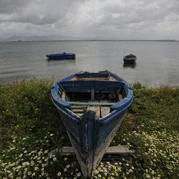 The Boat And The Flowers by Giorgio Bisetti