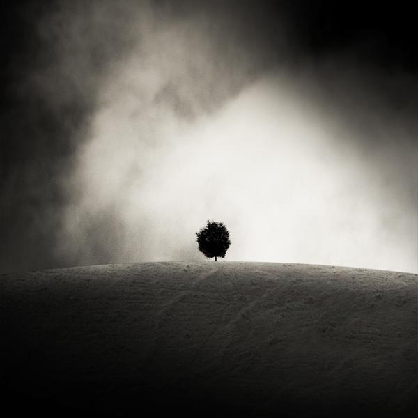 A Life In Solitude by Giorgio Bisetti