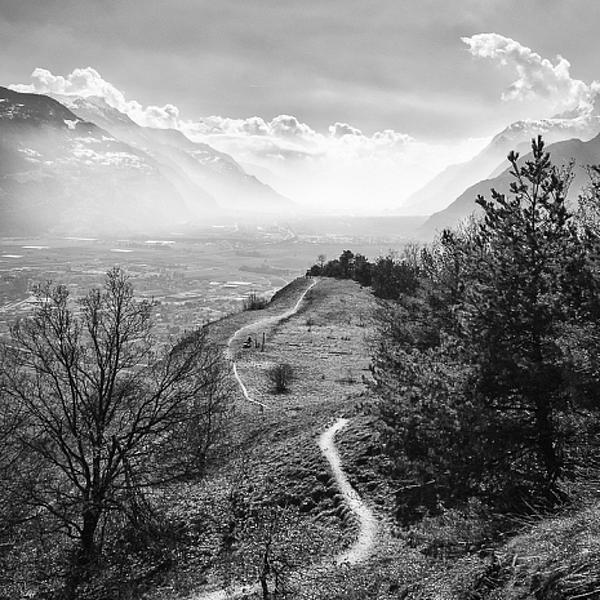 Valée Du Rhône by José Fangueiro