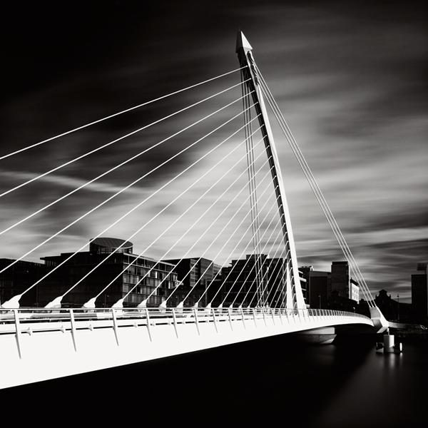 Harp by Rafal Krol