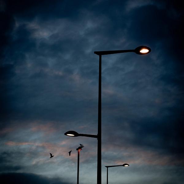 Guiding Light by Agata Wojtkowska
