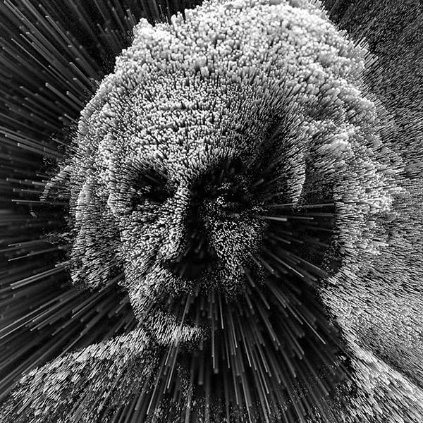 Albert by Adam Martinakis