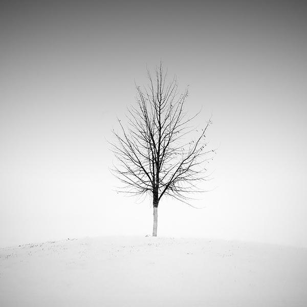 Traffic Circle by Bernd Walz