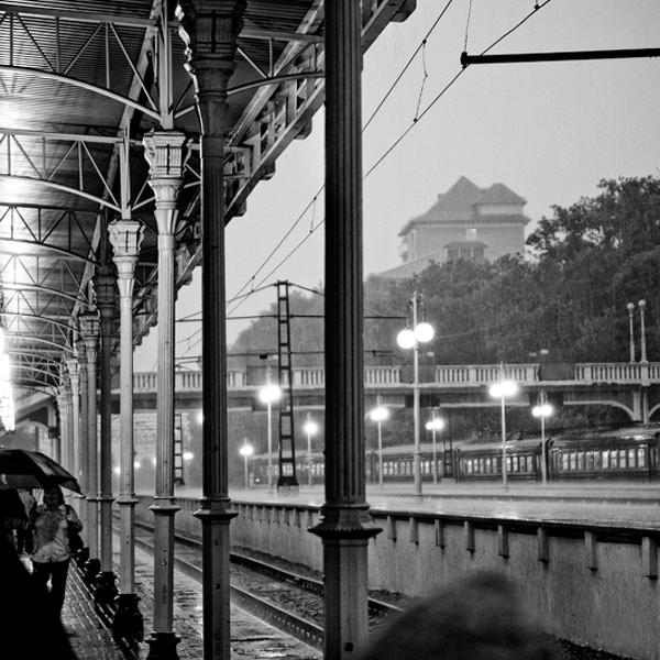 Rain by Bragina Irina