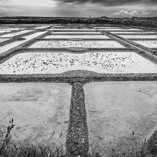 Guerandes by Michel Versepuy