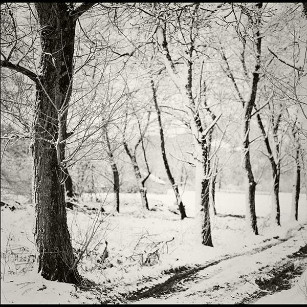 En Attendant - Waiting Along by Herv&eacute; Schmelzle