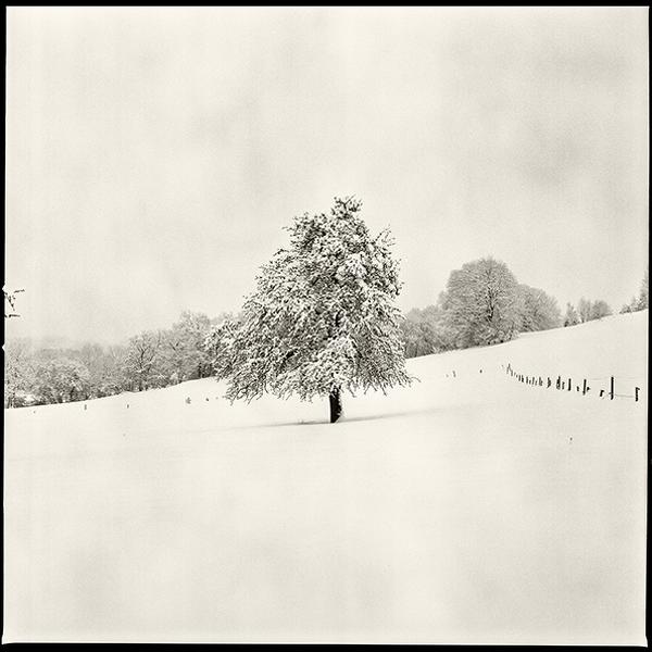Stance In Slow Motion by Herv&eacute; Schmelzle